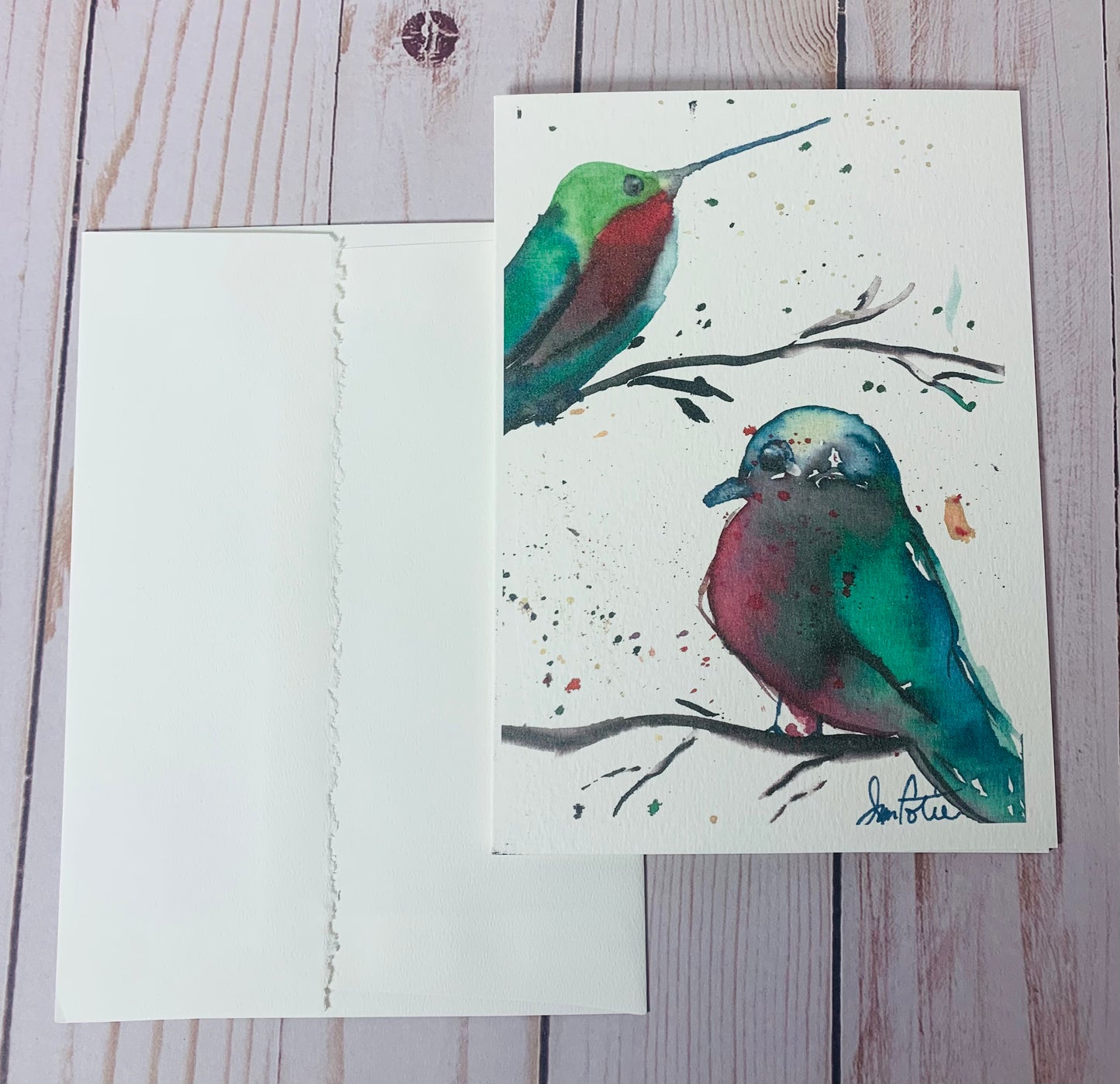 birds